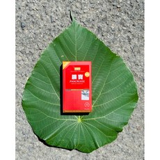 賽恩威特 Scienvet 胰寶 犬貓專用 消化酵素 500顆 促進消化 營養吸收, 1個, 胰寶30顆盒裝X3盒 效期2027/1