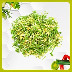 (260106-01) bunga pepaya rebus 500gr, 500g, 1개