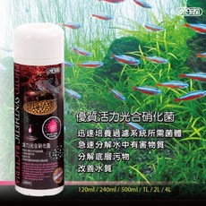 帥哥水族【ISTA伊士達】優質活力光合硝化菌 培菌 硝化菌 快速分解 快速培菌 細菌屋 過濾 水質處理, 1個, 120ml