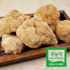 [버섯농부] 국내산 무농약 건 노루궁뎅이버섯 골라담기, 1개, 건 노루궁뎅이버섯(50g)