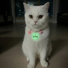 야광 이름표 비즈 고양이 목걸이, 핑크(여자), 1개