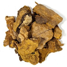 갑당약초 상황버섯 500g, 1개