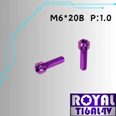 ROYAL 鈦合金 M6*20B P:1.0 錐形螺絲 皇家紫, 1個