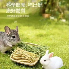 燕麥草 適合兔子荷蘭豬龍貓食用, 1個