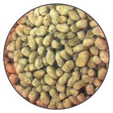 거북이사료 맛기차햄버거 거북이밥 청거북전용 160grla4+6zVF