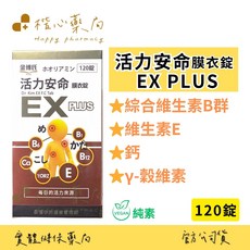 金博士 活力安命 膜衣錠 EX PLUS 綜合維生素B群 120錠, 1個, 120顆