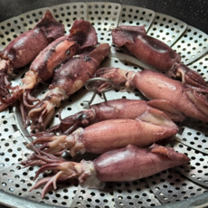 자연산 한입 총알한치 생물급냉 통찜용 요리용, 1개, 500g(11~18미)