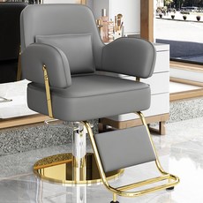 美髮店理髮店椅子髮廊專用理髮椅美髮椅網紅剪髮椅可陞降座椅剪髮椅子 美容椅 複古理髮椅 髮廊椅 剪髮椅, 不銹鋼灰色（燙染專用）