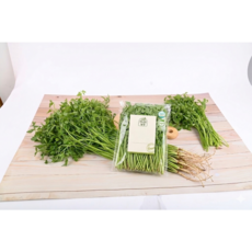 청도미나리 제철 산지직송 미나리삼겹살 전용 생미나리, 1개, 1kg