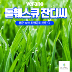 베라노 톨훼스큐 터프 씨앗 1kg 3kg 5kg 양잔디 종자 잔디 씨앗 법면녹화 사방공사 최적, 3개