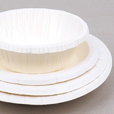 라움샵 일회용 그릇 일회용기, 170mm 접시