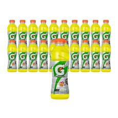 게토레이 레몬, 600ml, 20개
