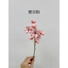 日本大地農園瓜子花乾燥花永生花 (原裝包) - 花藝DIY素材, 寶貝粉