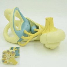 내이 미로 달팽이관 신경 구조 관찰 모형 교재 귀 병원 기자재 교구 신체 인체모형 형태 학습 의료