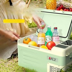 차랑용 캠핑용 냉장고 이동식 아이스쿨러 휴대용 2025 차량용 냉동고 차량용냉장고 캠핑냉장고 미니냉장고, 59l 공용 12V 24V 220V, 1L