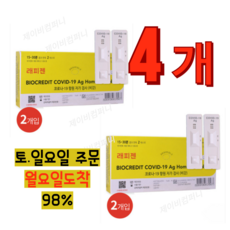 래피젠 코로나 자가검사 키트, 2개입, 2개