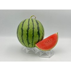 亞虎迷你西瓜種子, 1包