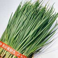 테이블센스 국내산 흙쪽파 1단 가락시장 당일경매 실파, 1개, 1.4kg
