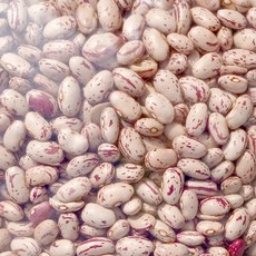 2025년산 미국산 매화콩 10kg 호랑이콩 매화강낭콩, 1개