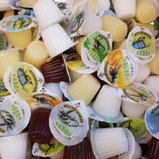 P老闆水族 甲蟲 爬蟲 高營養果凍 台灣製造 促進交配產卵 增加體力 獨角仙 鍬形蟲 蜜袋鼯 鼠類, 1個