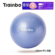 요가볼 입문용 개인볼 연습용 초보 경량 연습구 초보자 취미 입문 헬스, 더 많은 요가 볼 사이즈, 1kg, 퍼플블루