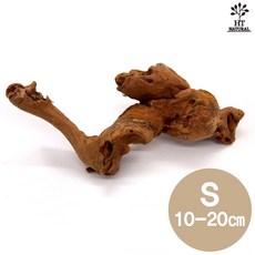 세틀 프리미엄 와일드 유목 S 10~20cm, 1개