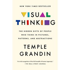 (영문도서) Visual Thinking: The Hidden Gifts of People Who Think in Pictures Patterns and Abstractions Paperback, Riverhead Books, English, 9780593418376