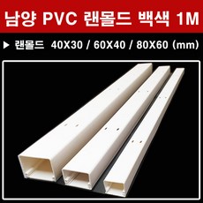 냠양 남양 PVC 랜몰드 백색 1M 40X30 60X40 80X60 몰딩 몰드 대한민국, 남양 랜몰드 백색 1M 60x40