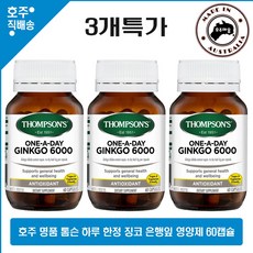 호주산 명품 은행잎 추출 영양제 톰슨 하루한정 징코 빌로바 6000mg 60캡슐 3병특가, 3개, 60정