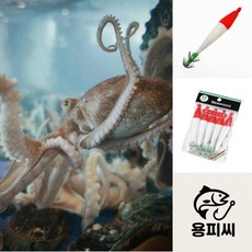 용피쉬 에기 쭈꾸미 갑오징어 야광, 5개
