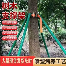 樹木支架 鍍鋅鋼管 園林綠化 大樹防風支撐桿 苗木固定器, 綠色40管1.5米4支鐵套帽收緊器, 1個