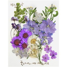 CHECK STORY 壓花 混色綜合包 花朵組合 23p 套組, 紫色2