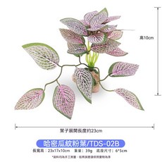仿真綠植西瓜葉, 1個, TDS-02B[哈密瓜紋粉葉]