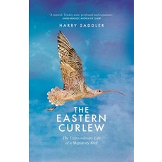 (영문도서) The Eastern Curlew Paperback, Affirm Press, English, 9781925870831