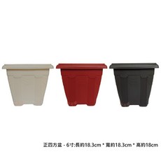 正四方盆 6寸, 詳見包裝, 深咖啡色