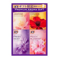 바브 프리미엄 아로마 선물 KBPA-20 1.6Kg 탄산 입욕제, 1개