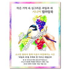 [큰 그림] 작은 기억 속 싱그러운 과일과 새 시니어 컬러링북 치매 예방 어르신 색칠공부, 그림빛, 윤동길