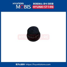 러버마운트 (292442B400)