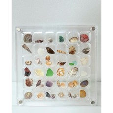 조개 비즈 악세사리 모음 보관 케이스, 1개, 64칸단일색상