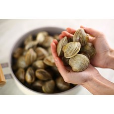 백생합 생합 백합 백상합 1kg, 1개