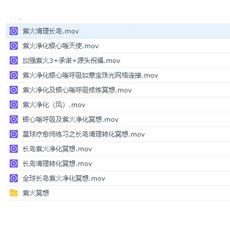 易&學【G mai 發送】紫火清理冥想音頻課程
