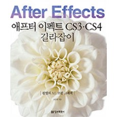 애프터 이펙트 CS3 CS4 길라잡이 (CD포함), 정보문화사