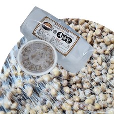 지리산산골 국산콩 무염 생청국장 200g 5섯개 1kg 청정지역 지리산 자락 황토방 자연포집 복합 종균을 이용하는 전통방식 청국장, 5개