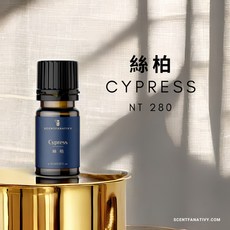 SCENTFANATIVY 絲柏精油 木質香調, 1個, 10ml
