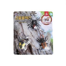 곤충 풀백카3종세트 거미 사슴벌레 딱정벌레 곤충미니 미니카 풀백카 곤충 곤충미니카 사슴벌레 딱정벌레 거미+노드커머스Shop