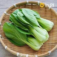 농협선별 신선한 청경채 1kg, 01.신선한 청경채 1kg, 1개