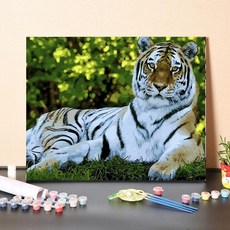 무지개 호랑이 그림그리기 복기 대형 칼라풀 풍경, 60x75 스트레치 프레임 2.5cm 두께, 1개