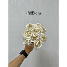 高品質索拉桔梗花索拉花 4公分 6公分 十支 擴香花 乾燥花 永生花 不凋花, 淺紫,6公分
