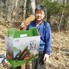 국내산 원액100% 암칡 알칡 갱년기 효능 야생 자연산 생칡즙 진액 110ml 50포, 50개