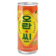 오란씨 오렌지 탄산음료, 30개, 250ml